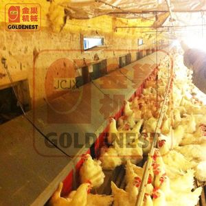 Granja avícola doble cara o <span class=keywords><strong>de</strong></span> un solo lado automático capa <span class=keywords><strong>de</strong></span> <span class=keywords><strong>huevo</strong></span> nido sistema <span class=keywords><strong>de</strong></span> recogida - Product Image 3