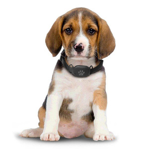 Thiết Bị Theo Dõi Vật Nuôi GPS Tracker Sim Cho Chó Mèo Vật Nuôi - Product Image 3