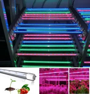 Plantes laitue croissance lampes pour maison de culture plateau livraison marché des états élèvent la lumière led usine lumières