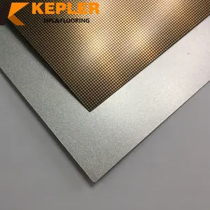 Aluminium Waterdichte Vuurvaste Gouden Zilveren Meubeldeur Formica Metallic Geborsteld Hogedruk Laminaat Hpl Plaat