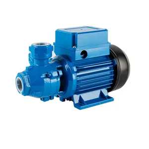 100% 输出KF系列抽水泵高容量仪表规格300瓦电动水泵