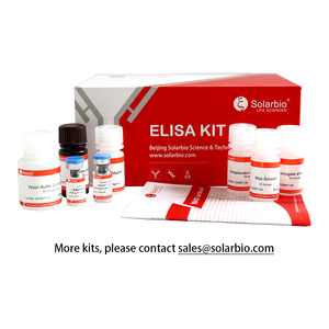 Solarbio Kit de haute qualité <span class=keywords><strong>Relaxin</strong></span>-2 humaine <span class=keywords><strong>Elisa</strong></span> pour la recherche scientifique - Product Image 3