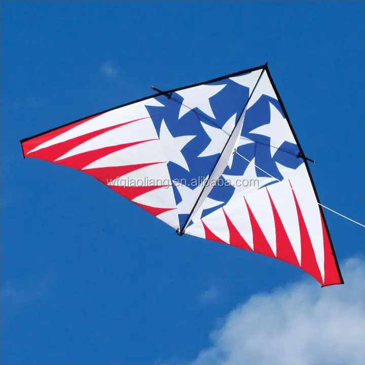 Cometa con logotipo de Publicidad triangular, cometa con bandera personalizada