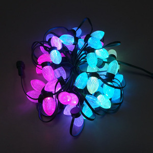 <strong>Best</strong> Quality Good Price WS2811 DC12V 2PCS Outdoor LED <strong>Christmas</strong> <strong>Light</strong> - Product Image 4