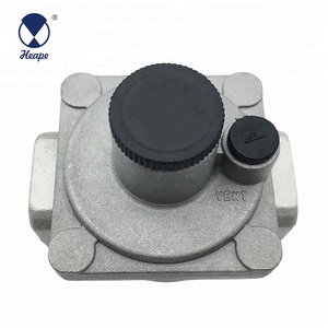 HEAPE Rifornimento Della Fabbrica Piccolo Regolatore del Gas Naturale - Product Image 6