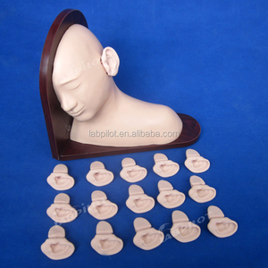 Offre Spéciale Oreille D'inspection Simulateur oreille Diagnostic Modèle de Formation - Product Image 3