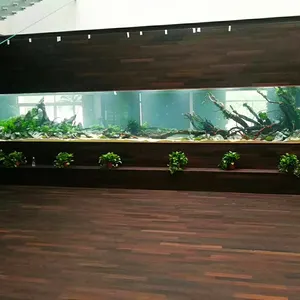 Resif akvaryum deniz balık tankı