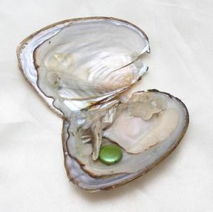 Commercio all'ingrosso di alta qualità acqua dolce 10-11mm perle naturali sottovuoto ostriche di perle - Product Image 4
