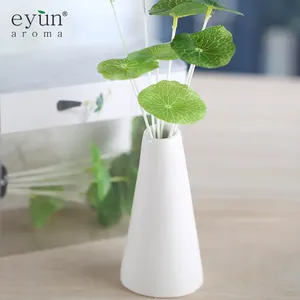 Bouteille en céramique de 50ml, décoration de la maison, diffuseur d'arôme, nouveau Design, livraison gratuite