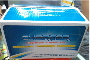 <span class=keywords><strong>Caricabatterie</strong></span> Universale Regolabile <span class=keywords><strong>6v</strong></span> 12v 24v 36v 48v 50a per Batterie al Gel - Product Image 6