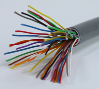 100FT 22 AWG 20 Paires/30 Paires/50 Paires CAT6 Blindé Direct Câble Enterré Globales Blindées Câble Téléphonique