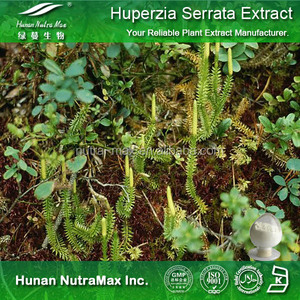 Fabricante Extracto de planta Suplemento de hierbas <span class=keywords><strong>Huperzia</strong></span> <span class=keywords><strong>Serrata</strong></span> Extracto 98% Huperzine A Polvo - Product Image 4