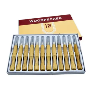 Set di coltelli per intaglio del legno da 12 pezzi 14 pezzi personalizzati di vendita calda