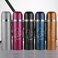 Bouilloire isotherme 500ml personnalisable pour animaux, en acier inoxydable, contenant isolé sous vide, thermos, gourde