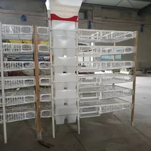 Büyük indirim plastik bıldırcın kafes bıldırcın evi otomatik besleme sistemi - Product Image 2