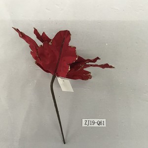 クリスマスフラワーポインセチア茎サプライヤー - Product Image 3