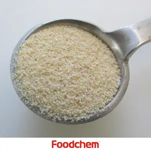 Especificaciones del polvo de ajo blanco polvo de ajo de jengibre