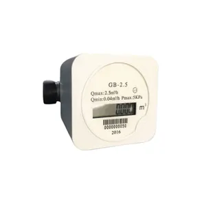 Cung Cấp Nhà Máy GB2.5 Micro Siêu Âm Khí Hợp Kim Nhôm Trường Hợp Thông Minh Gas Meter