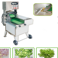 Raíz vegetal tubérculo de corte de máquina de corte de zanahoria cebolla col