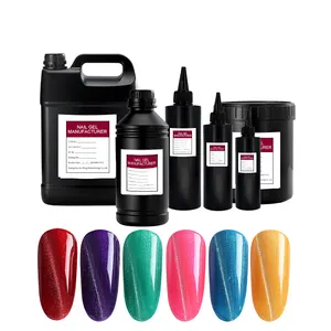 Fábrica OEM/ODM 600 colores 1kg 5kg Embalaje a granel Materia prima Soak Off UV Led Nail Gel Polish Color