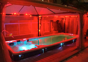 Piscina infinita de 6 metros, spa de masaje con cubierta eléctrica, gran oferta - Product Image 3