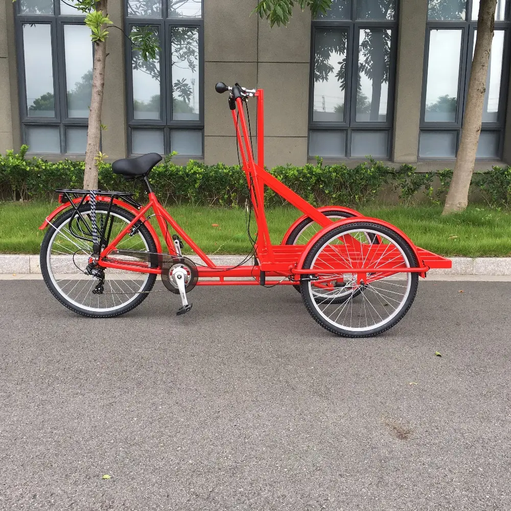 Niet-Elektrische Ijs Cargo Fiets 3 Wiel Driewieler Trike/Fiets/Stadsfiets