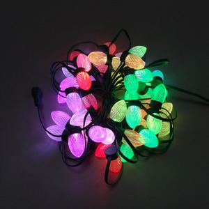 <strong>Best</strong> Quality Good Price WS2811 DC12V 2PCS Outdoor LED <strong>Christmas</strong> <strong>Light</strong> - Product Image 5
