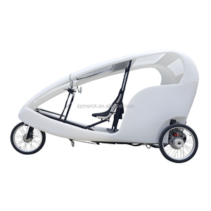 Triciclo Elettrico a Pedalata Assistita a 6 Velocità per 2 Passeggeri, Sedile Reclinabile, Batteria Automatica, Produttore Cinese - Product Image 4