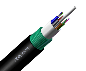 Kabel Serat Optik Terkubur Langsung GYTS SM, 4/6/8/12/24/48 Core dari Produsen - Product Image 1