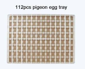Plateau, pièces de rechange pour œufs de pigeon, plateau en plastique, accessoires incubateur, 221 pièces - Product Image 6