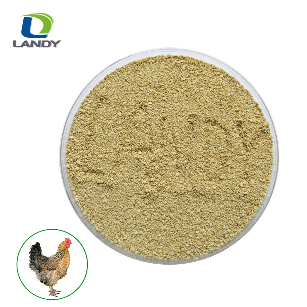 Lizin Hcl için Feed Grade Clorhidrato de L-Lisina 98,5% tavuk