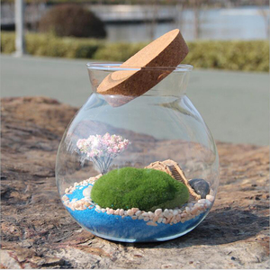 Round Glass <strong>Terrarium</strong> with Cork, Glass <strong>Terrarium</strong> <strong>Kit</strong> for Home Decoration - Product Image 2