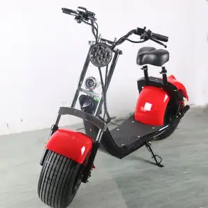 SC10 1000W 12Ah Fat Tire Elektrische Off Road Motorfiets Elektrische Scooter Voor Volwassen