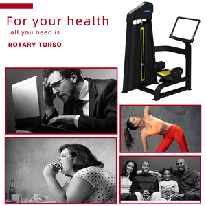 <span class=keywords><strong>Torso</strong></span> — équipement de gymnastique pour hommes, musculation professionnelle, fitness rotatif - Product Image 4