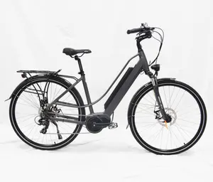 700cc电动自行车德国2017城市ebike max中车电动自行车女士