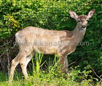 De plástico de BOP topo red Caracol granja malla/ciervo cerca de compensación