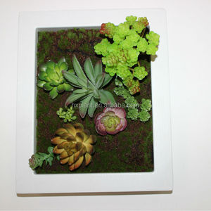 Bán Buôn Bằng Nhựa Cây Giả Màu Xanh Lá Cây Cầm Tay Treo Tường Dành Cho Nhà Vườn Nghệ Thuật Dân Gian - Product Image 2