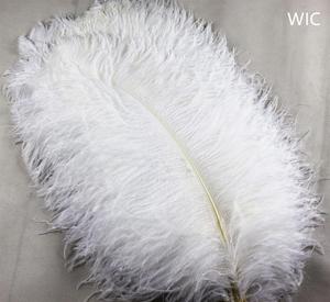 Pluma de avestruz de 55-60cm, Plume blanco de importación para boda, Carnaval, decoración, calidad prémium, venta al por mayor - Product Image 4