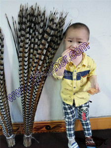 Bán Chạy Nhất Brazil Lông Màu Sắc Tự Nhiên Reeves Lông Đuôi Gà Lôi - Product Image 5