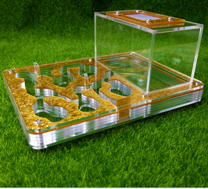 Helder Acryl Dier Huis Acryl Mierendoos - Product Image 4