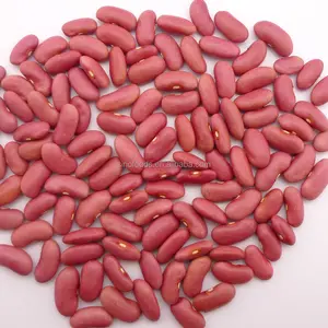 저렴한 가격 중국 공장 농산물 분홍색 신장 콩 얼룩덜룩 한 강낭콩