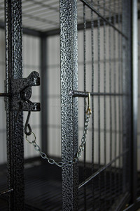 Cage double niveaux pour chien, Cage robuste à deux niveaux - Product Image 4