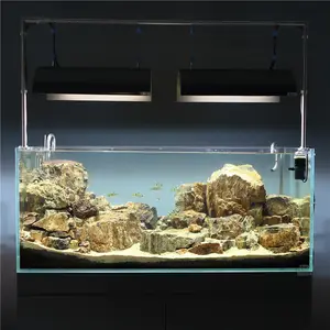 観賞魚の水槽dici植物超白ガラスタンク