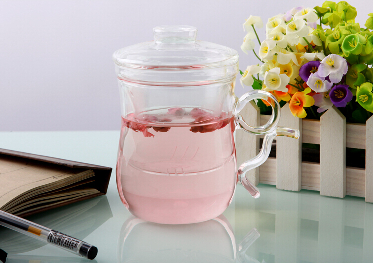 Double wall glass tea cup with glass filter and lid