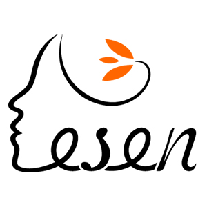 Guangzhou Lesen Xinpin Electronics Co., Ltd. logo