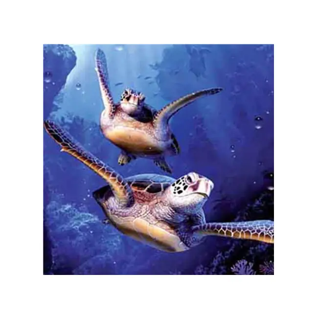 Dekoratif Plastik Merceksi 3D Resimleri deniz kaplumbağası 3d çerçevesiz resim