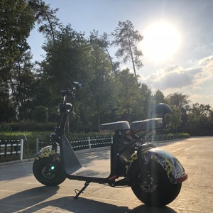 2019 nouveau scooter électrique electromobile/moto électrique pour une personne - Product Image 4