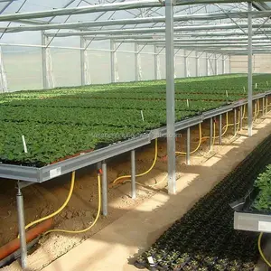 China sells greenhouses for commercial soilless cultivation systems