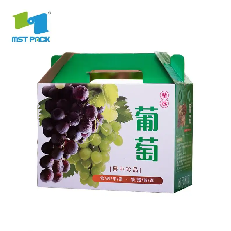 Fast Delivery Sustainable Chiku Fruit Packaging Boxes