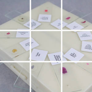 Portaobjetos de Vidrio de Alta Calidad para Enseñanza de Ciencias Médicas, Preparados con Hierbas Medicinales Chinas Lilium, a Bajo <span class=keywords><strong>Precio</strong></span> - Product Image 4